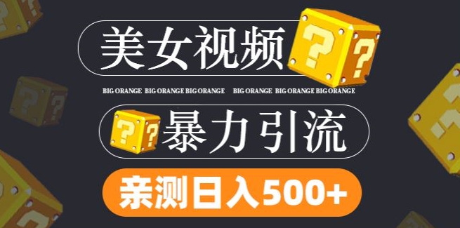 搬运tk美女视频全网分发，日引s粉300+，轻松变现，不限流量不封号【揭秘】-搞钱日记
