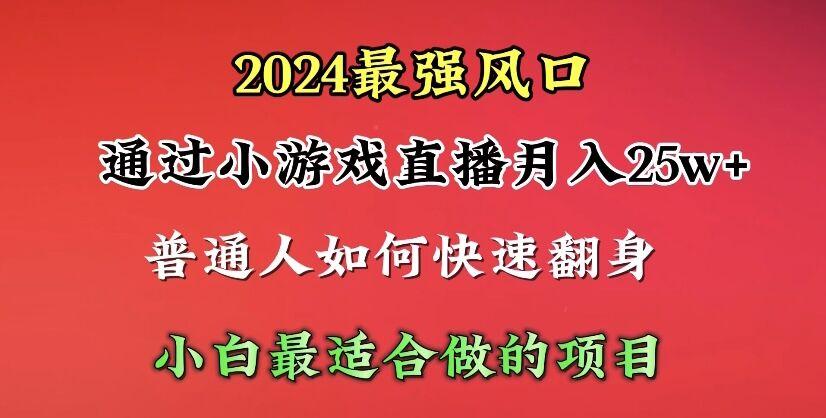 (10020期)2024年最强风口，通过小游戏直播月入25w+单日收益5000+小白最适合做的项目-搞钱日记