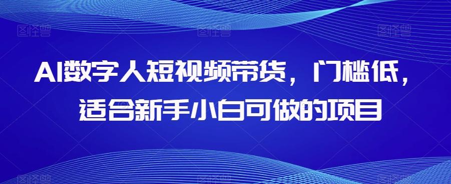 AI数字人短视频带货，门槛低，适合新手小白可做的项目-搞钱日记