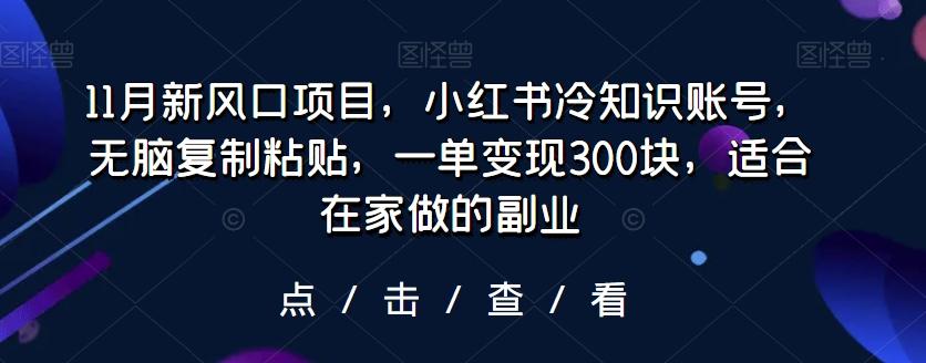 11月新风口项目，小红书冷知识账号，无脑复制粘贴，一单变现300块，适合在家做的副业-搞钱日记