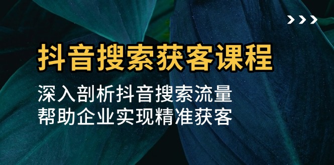 抖音搜索获客课程：深入剖析抖音搜索流量，帮助企业实现精准获客-搞钱日记