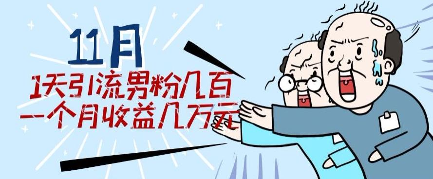 11月最新每天引流男粉300+一个月收益几万元-搞钱日记