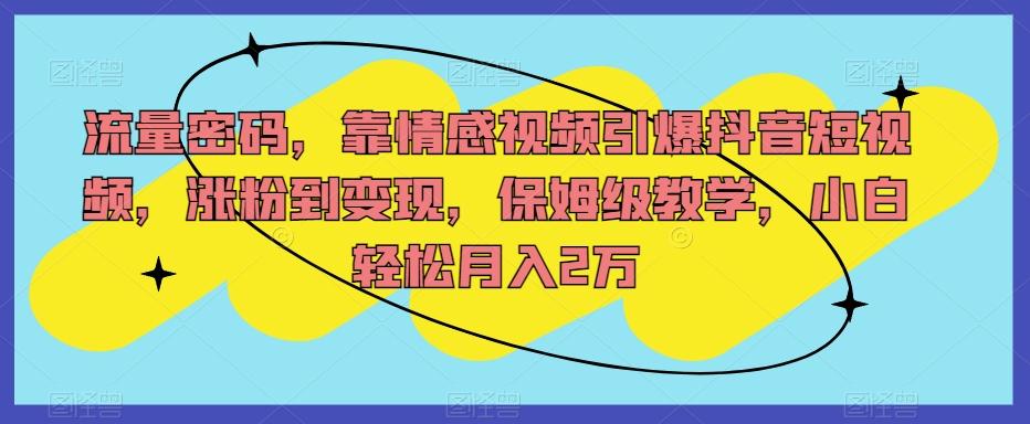 流量密码，靠情感视频引爆抖音短视频，涨粉到变现，保姆级教学，小白轻松月入2万【揭秘】-搞钱日记