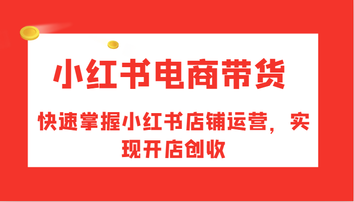 小红书电商带货，快速掌握小红书店铺运营，实现开店创收-搞钱日记