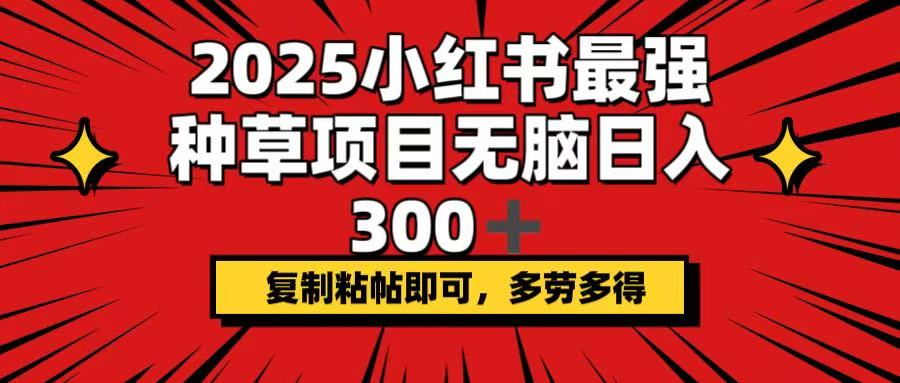 2025小红书最强种草项目，无脑日入300+，复制粘帖即可，多劳多得-搞钱日记