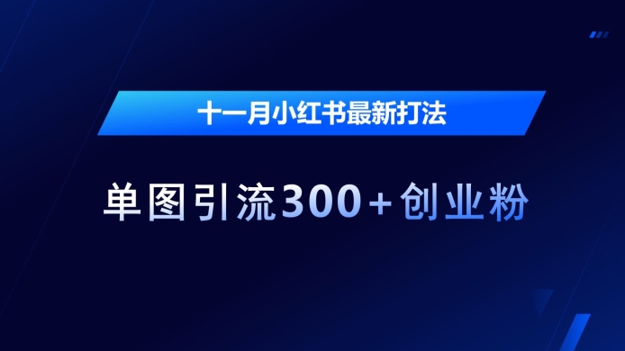 十一月小红书最新打法，单图引流300+创业粉【揭秘】-搞钱日记