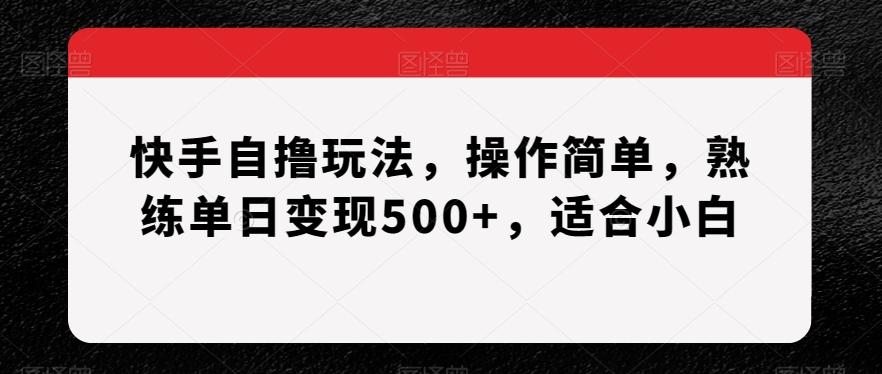 快手自撸玩法，操作简单，熟练单日变现500+，适合小白【揭秘】-搞钱日记