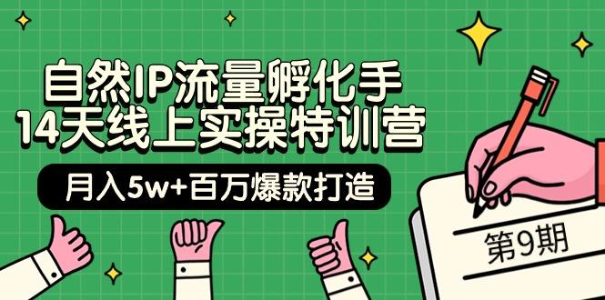 (9881期)自然IP流量孵化手 14天线上实操特训营【第9期】月入5w+百万爆款打造 (74节)-搞钱日记