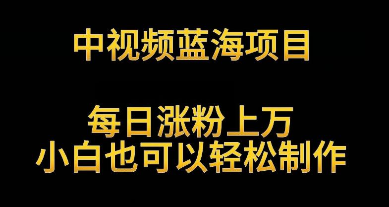 中视频蓝海项目，解读英雄人物生平，每日涨粉上万，小白也可以轻松制作，月入过万不是梦【揭秘】-搞钱日记