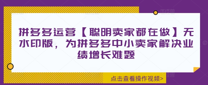 拼多多运营【聪明卖家都在做】无水印版，为拼多多中小卖家解决业绩增长难题-搞钱日记