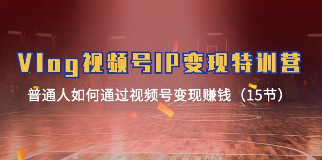 Vlog 视频号IP变现特训营，普通人如何通过视频号变现赚钱(15节-搞钱日记