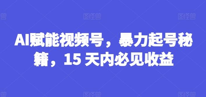AI赋能视频号，暴力起号秘籍，15 天内必见收益【揭秘】-搞钱日记