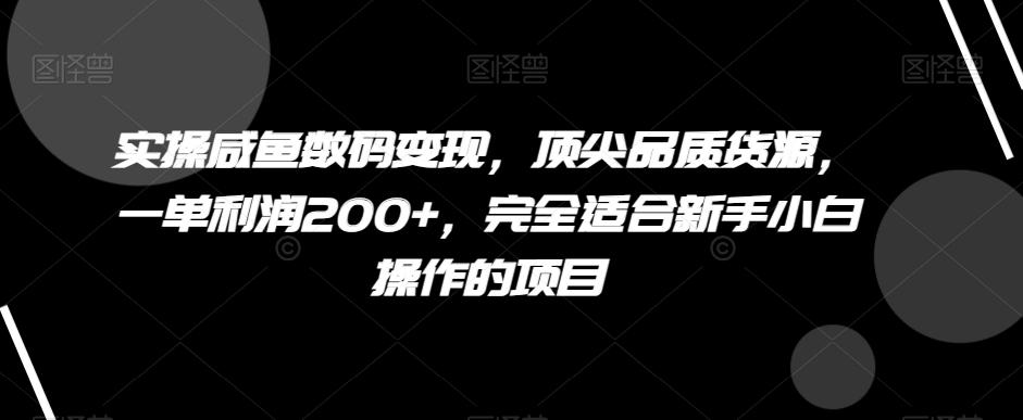 实操咸鱼数码变现，顶尖品质货源，一单利润200+，完全适合新手小白操作的项目【揭秘】-搞钱日记