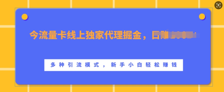 流量卡线上独家代理掘金，日入1k+ ，多种引流模式，新手小白轻松上手【揭秘】-搞钱日记