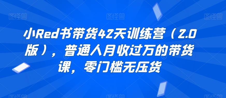 小Red书带货42天训练营(2.0版)，普通人月收过万的带货课，零门槛无压货-搞钱日记