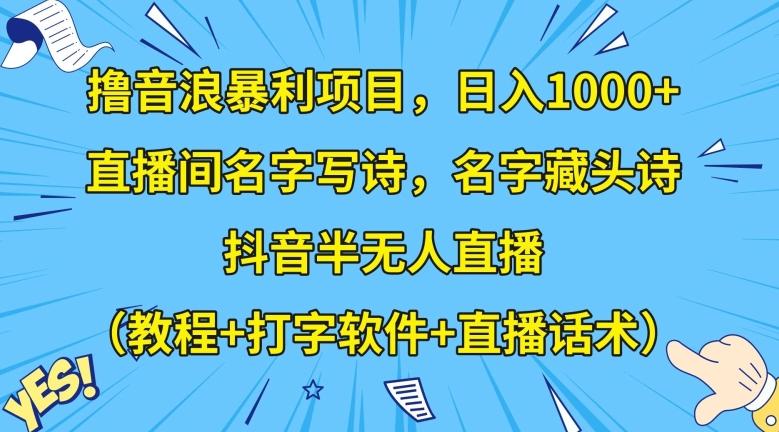 撸音浪暴利项目，日入1000+，直播间名字写诗，名字藏头诗，抖音半无人直播（教程+打字软件+直播话术）【揭秘】-搞钱日记