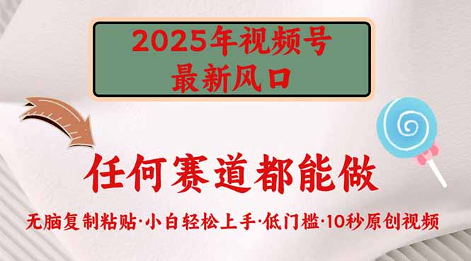 2025年视频号新风口，低门槛只需要无脑执行-搞钱日记