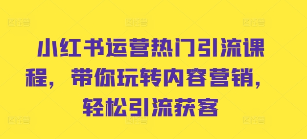 小红书运营热门引流课程，带你玩转内容营销，轻松引流获客-搞钱日记