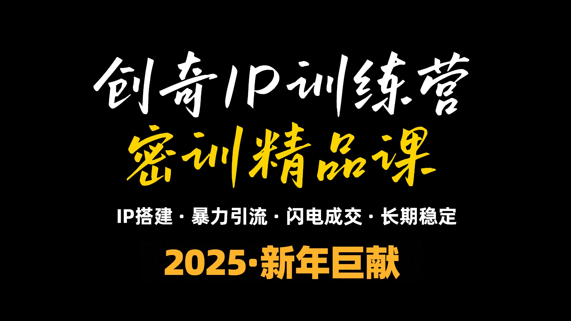 2025年“知识付费IP训练营”小白避坑年赚百万，暴力引流，闪电成交-搞钱日记