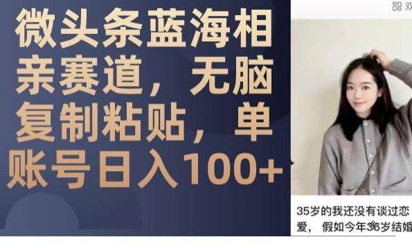 微头条蓝海相亲赛道，无脑复制粘贴，单账号日入100+-搞钱日记