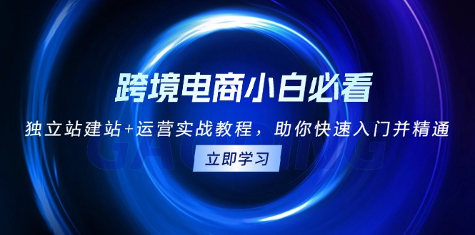 跨境电商小白必看！独立站建站+运营实战教程，助你快速入门并精通-搞钱日记