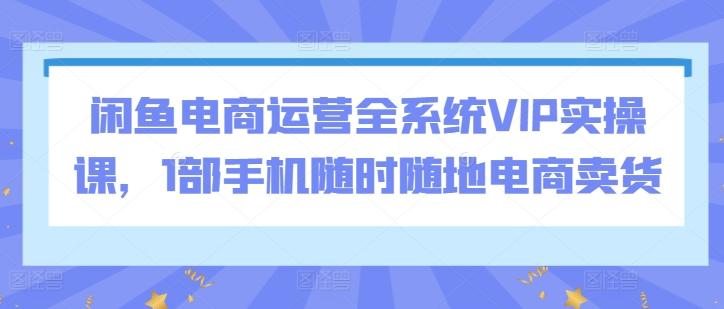 闲鱼电商运营全系统VIP实操课，1部手机随时随地电商卖货-搞钱日记