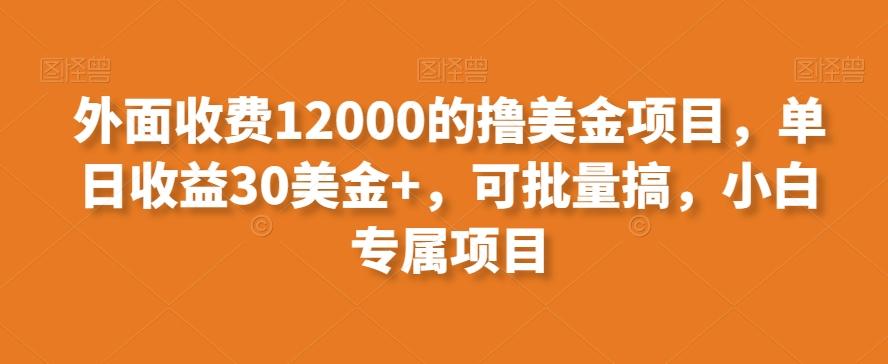 外面收费12000的撸美金项目，单日收益30美金+，可批量搞，小白专属项目-搞钱日记