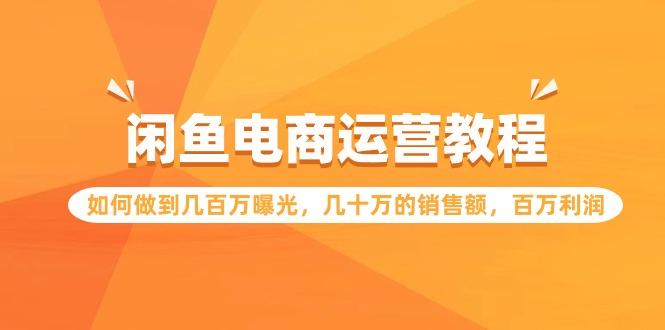 (9560期)闲鱼电商运营教程：如何做到几百万曝光，几十万的销售额，百万利润-搞钱日记