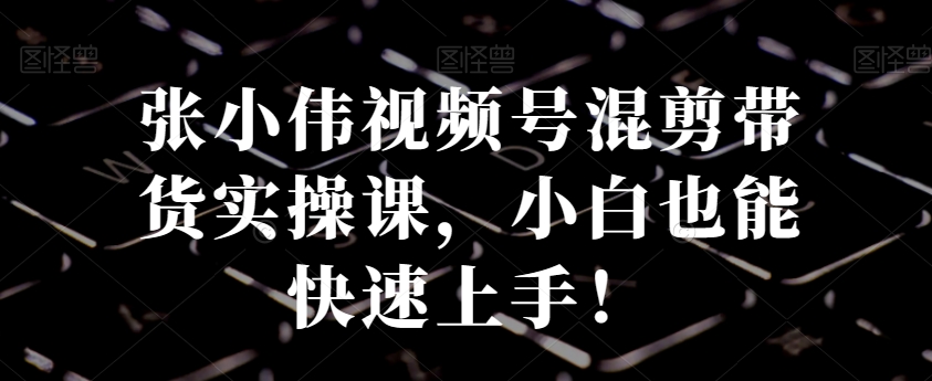 张小伟视频号混剪带货实操课，小白也能快速上手！-搞钱日记