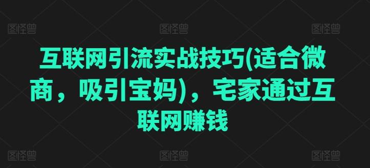 互联网引流实战技巧(适合微商，吸引宝妈)，宅家通过互联网赚钱-搞钱日记