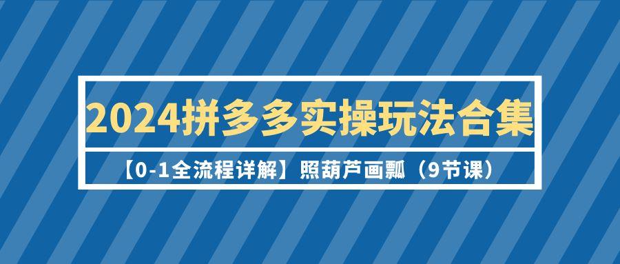 (9559期)2024拼多多实操玩法合集【0-1全流程详解】照葫芦画瓢(9节课)-搞钱日记