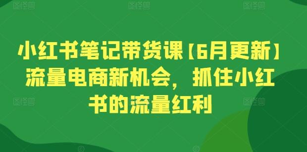 小红书笔记带货课【6月更新】流量电商新机会，抓住小红书的流量红利-搞钱日记