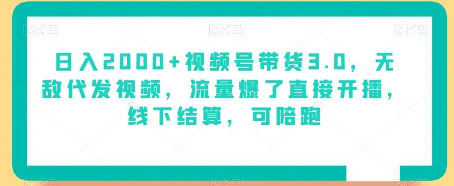 日入2000+视频号带货3.0，无敌代发视频，流量爆了直接开播，线下结算，可陪跑-搞钱日记