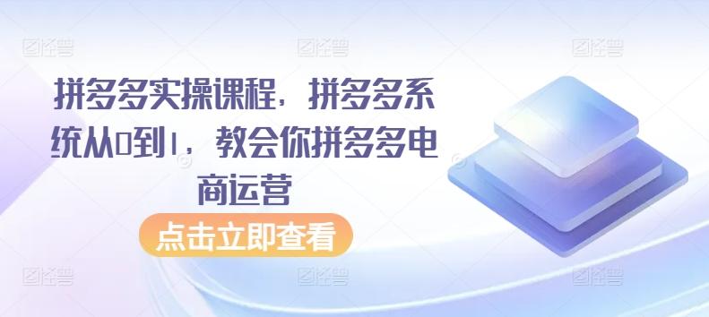 拼多多实操课程，拼多多系统从0到1，教会你拼多多电商运营-搞钱日记