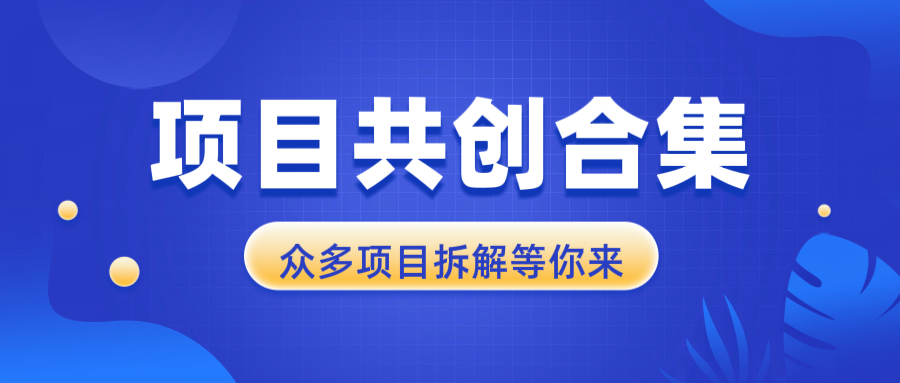 项目共创合集，从0-1全过程拆解，让你迅速找到适合自已的项目-搞钱日记