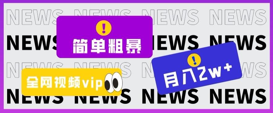 简单粗暴零成本，高回报，全网视频VIP掘金项目，月入2万＋【揭秘】-搞钱日记