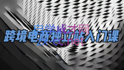 团长·跨境电商独立站入门课(2小时精华)-搞钱日记
