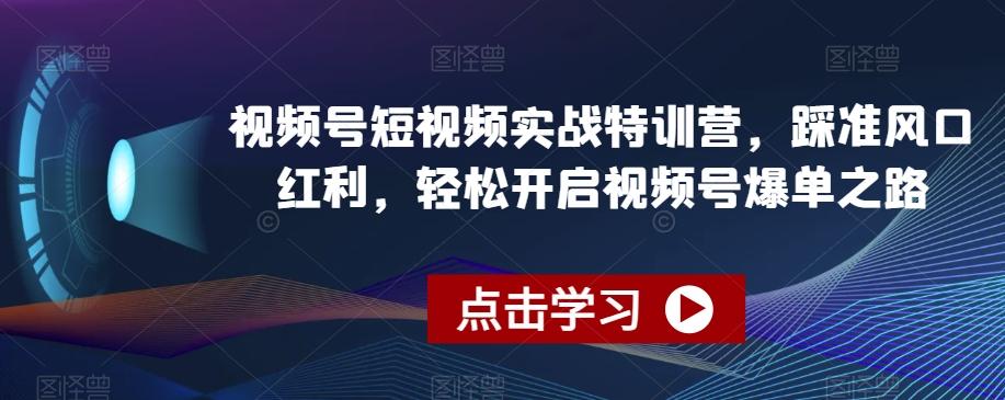视频号短视频实战特训营，踩准风口红利，轻松开启视频号爆单之路-搞钱日记