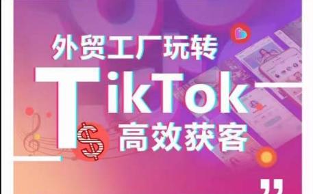 外贸工厂玩转TikTok高效获客，多种引流方式与账号定位技巧，拆解爆款短视频打造成功案例-搞钱日记