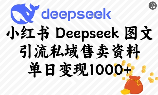小红书Deepseek图文引流私域售卖资料，单日变现多张-搞钱日记