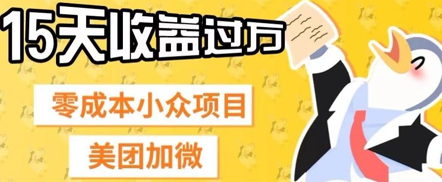 零成本小众项目，美团加微，一单4.5+，15天已经有人赚上万收益-搞钱日记