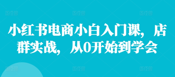 小红书电商小白入门课，店群实战，从0开始到学会-搞钱日记