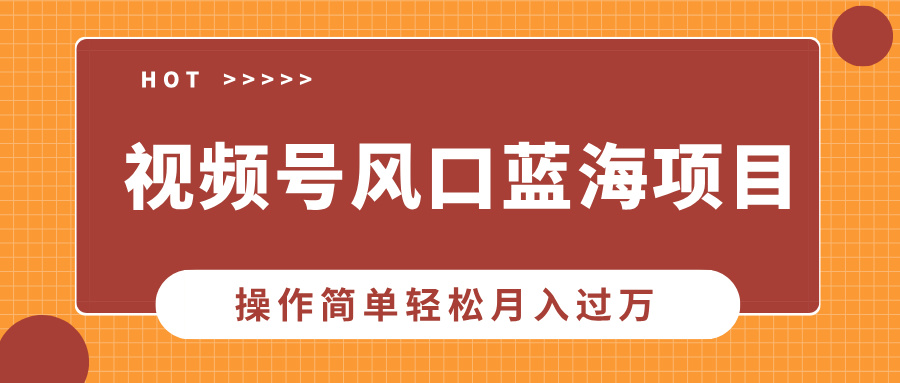 视频号风口蓝海项目，中老年人的流量密码，操作简单轻松月入过万-搞钱日记