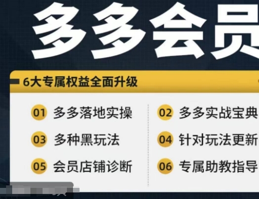 拼多多会员，拼多多实战宝典+实战落地实操，从新手到高阶内容全面覆盖-搞钱日记
