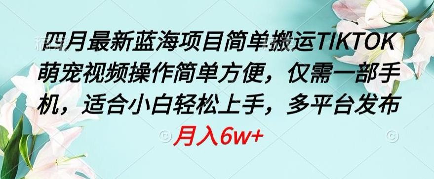 四月最新蓝海项目，简单搬运TIKTOK萌宠视频，操作简单方便，仅需一部手机【揭秘】-搞钱日记