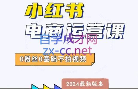 达哥·小红书电商运营(2024版)-搞钱日记