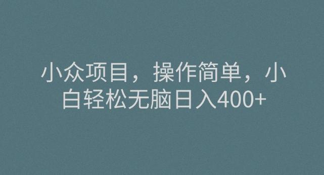 小众项目，操作简单，小白轻松无脑日入400+-搞钱日记