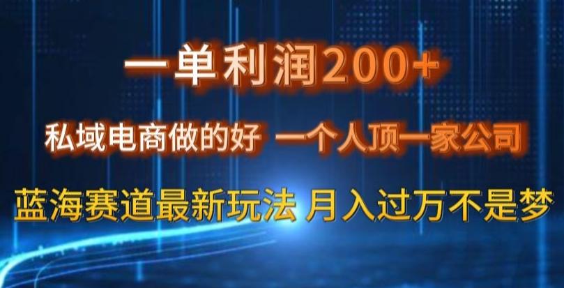 一单利润200私域电商做的好，一个人顶一家公司蓝海赛道最新玩法【揭秘】-搞钱日记