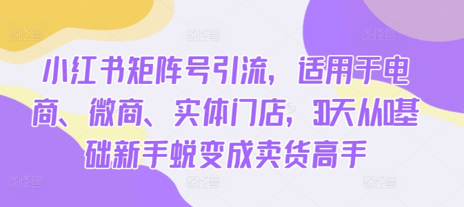 小红书矩阵号引流，适用于电商、微商、实体门店，30天从0基础新手蜕变成卖货高手-搞钱日记