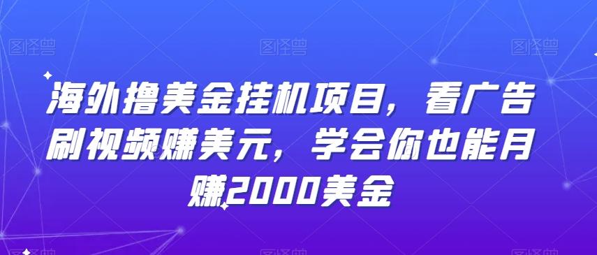 海外撸美金挂机项目，看广告刷视频赚美元，学会你也能月赚2000美金-搞钱日记